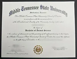 Middle Tennessee State University diploma, order MTSU fake degree.