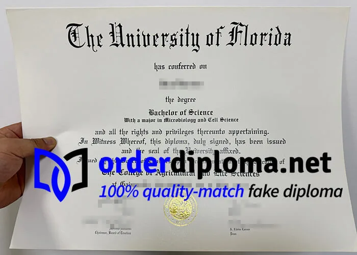 Buy University of Florida diploma online.