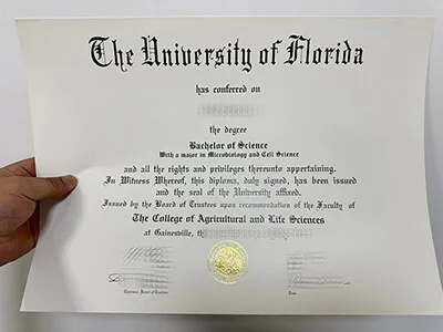 Buy University of Florida diploma online.