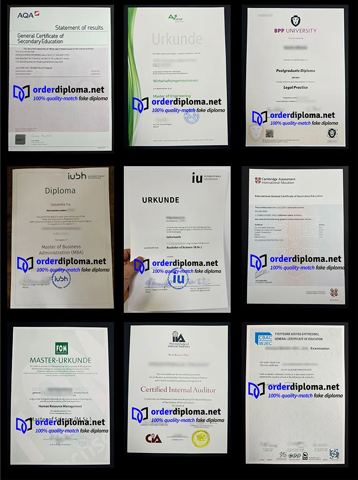 image of a fake diploma